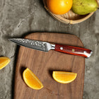 Japanse Damascus Kazoku 2-delige Startersset – Precisiebladen van 10 cm en 21 cm